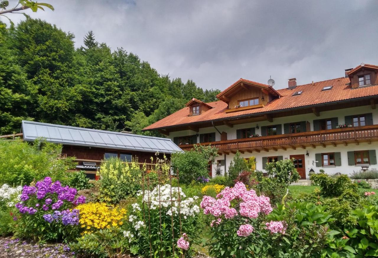 Haus Jaegerfleck, Ihre Ferienwohnungen Am Nationalpark Bayerischer Wald Spiegelau Bagian luar foto